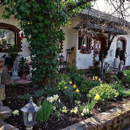Отель Haus Buena Vista Бад-Киссинген Экстерьер фото