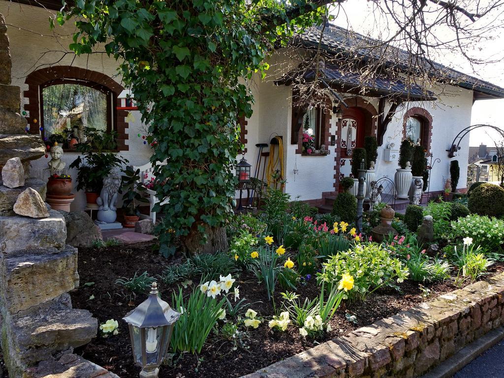 Отель Haus Buena Vista Бад-Киссинген Экстерьер фото